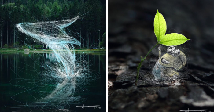 My Illustrations Of Animals And Cute Things In The Forest