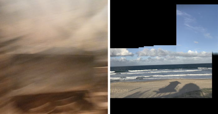 Hey Pandas, What Is The Worst Photo You’ve Ever Taken?