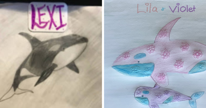 Hey Pandas, Draw A Killer Whale