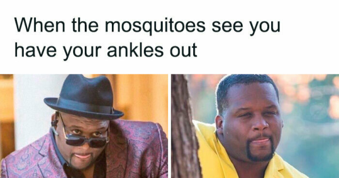 Hey Pandas, You’ve Just Been Arrested, And Whether You’re Freed Or Not Depends On The Last Meme You’ve Saved On Your Phone. How’s It Looking? (Closed)