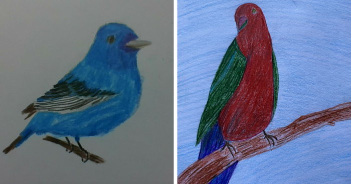 Hey Pandas, Draw A Bird And Post The Results (Closed)
