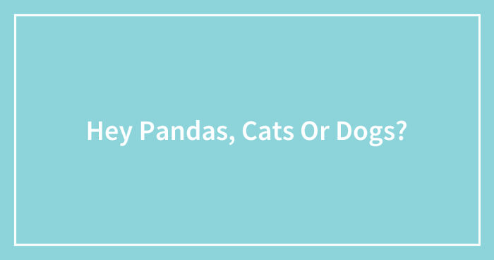 Hey Pandas, Cats Or Dogs? (Closed)