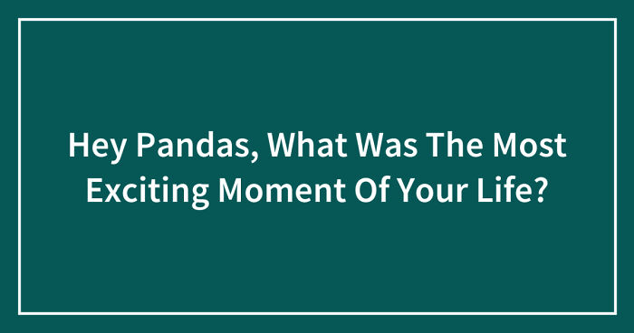 Hey Pandas, What Was The Most Exciting Moment Of Your Life? (Closed)