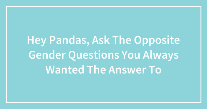 Hey Pandas, Ask The Opposite Gender Questions You Always Wanted The Answer To (Closed)