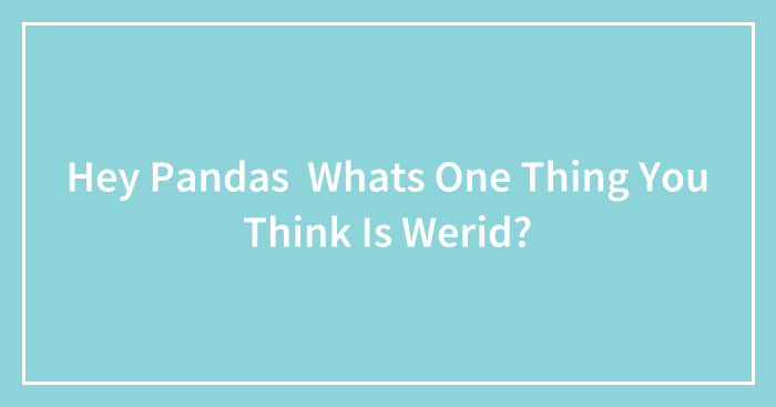 Hey Pandas Whats One Thing You Think Is Werid?