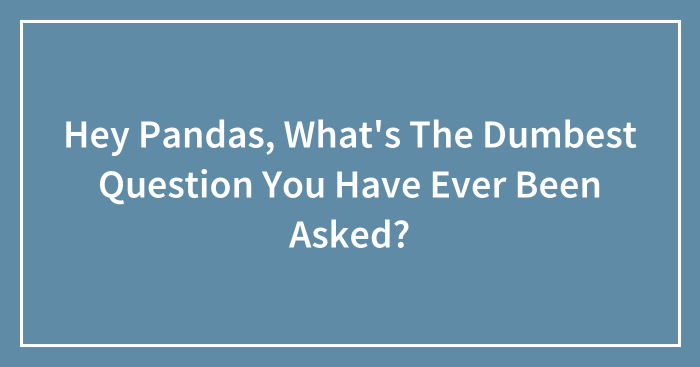 Hey Pandas, What’s The Dumbest Question You Have Ever Been Asked? (Closed)