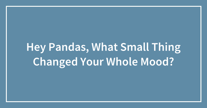 Hey Pandas, What Small Thing Changed Your Whole Mood? (Closed)