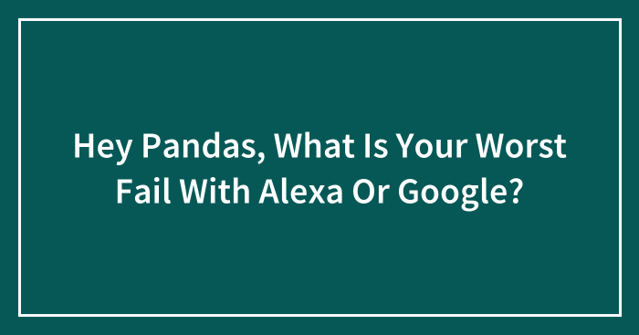 Hey Pandas, What Is Your Worst Fail With Alexa Or Google? (Closed)