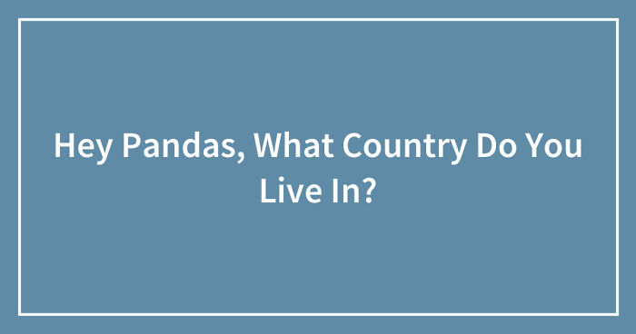 Hey Pandas, What Country Do You Live In? (Closed)