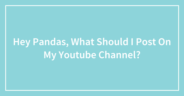 Hey Pandas, What Should I Post On My Youtube Channel?