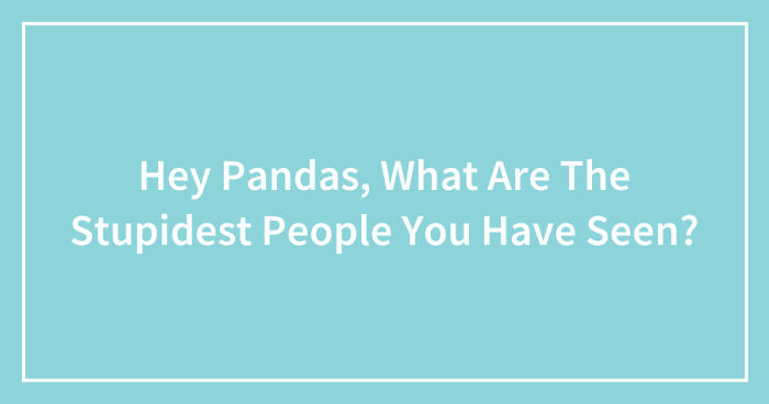 Hey Pandas, What Are The Stupidest People You Have Seen? (Closed)
