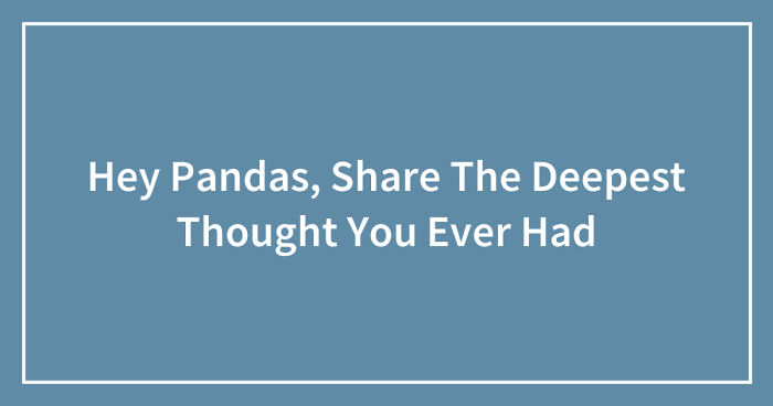 Hey Pandas, Share The Deepest Thought You Ever Had (Closed)
