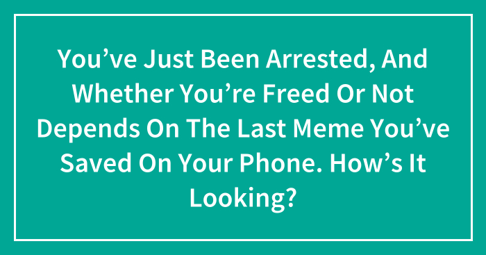 You’ve Just Been Arrested, And Whether You’re Freed Or Not Depends On The Last Meme You’ve Saved On Your Phone. How’s It Looking?