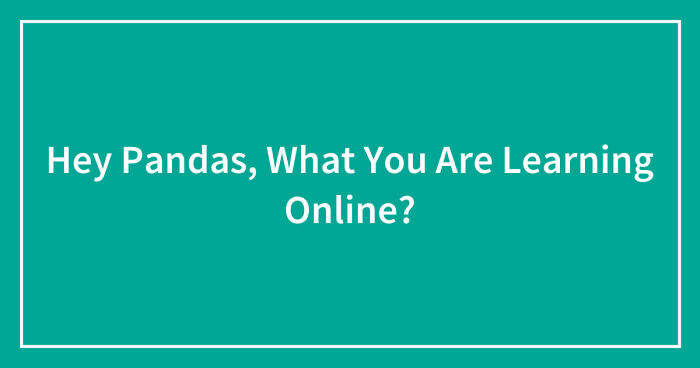 Hey Pandas, What You Are Learning Online? (Closed)