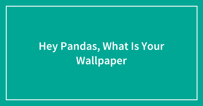 Hey Pandas, What Is Your Wallpaper