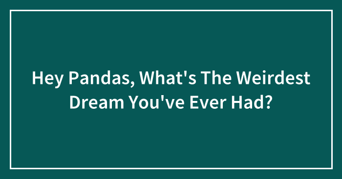 Hey Pandas, What’s The Weirdest Dream You’ve Ever Had?
