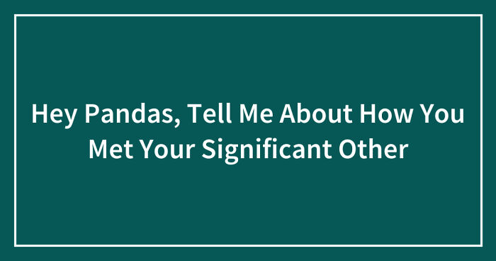 Hey Pandas, Tell Me About How You Met Your Significant Other (Closed)