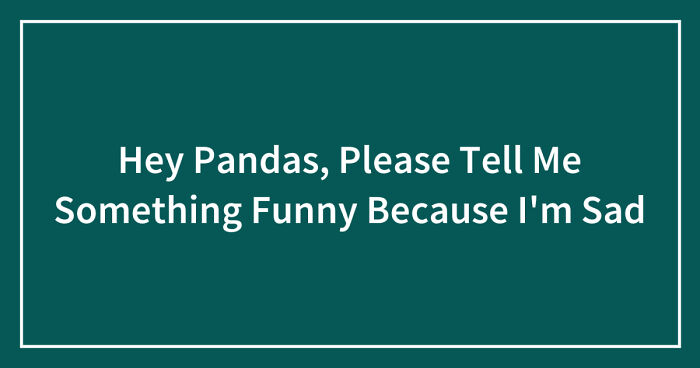 Hey Pandas, Please Tell Me Something Funny Because I’m Sad (Closed)