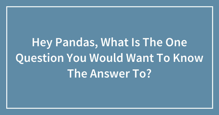 Hey Pandas, What Is The One Question You Would Want To Know The Answer To? (Closed)