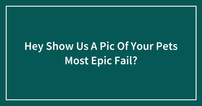 Hey Show Us A Pic Of Your Pets Most Epic Fail?