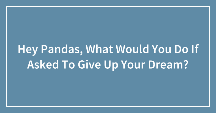 Hey Pandas, What Would You Do If Asked To Give Up Your Dream?