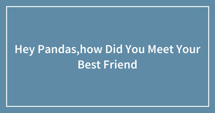 Hey Pandas, How Did You Meet Your Best Friend? (Closed)