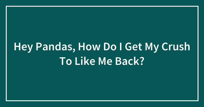 Hey Pandas, How Do I Get My Crush To Like Me Back? (Closed)