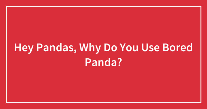 Hey Pandas, Why Do You Use Bored Panda? (Closed)