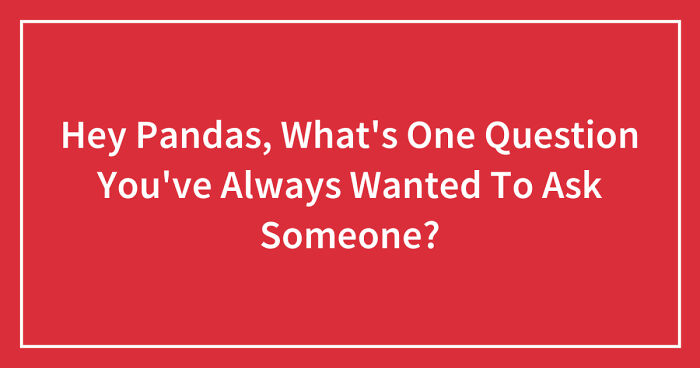 Hey Pandas, What’s One Question You’ve Always Wanted To Ask Someone? (Closed)