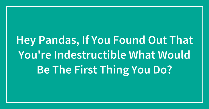 Hey Pandas, If You Found Out That You’re Indestructible What Would Be The First Thing You Do? (Closed)