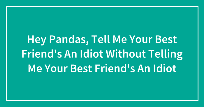 Hey Pandas, Tell Me Your Best Friend’s An Idiot Without Telling Me Your Best Friend’s An Idiot (Closed)