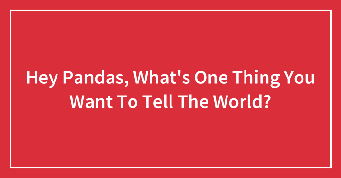 Hey Pandas, What’s One Thing You Want To Tell The World?