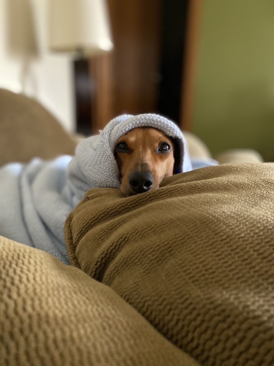 A Bankie Helps With Boredom