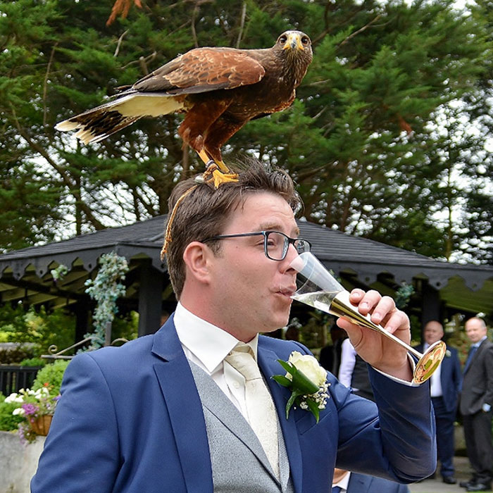 Unexpected Guest Dropped In To Wish Me Well On My Wedding Day