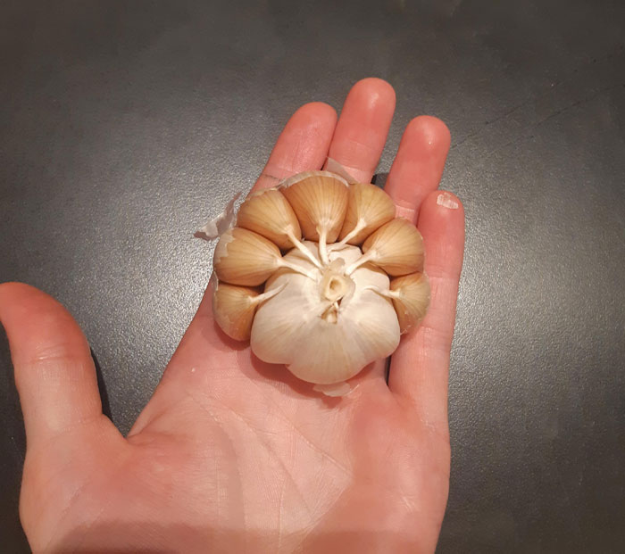 Garlic-Ception