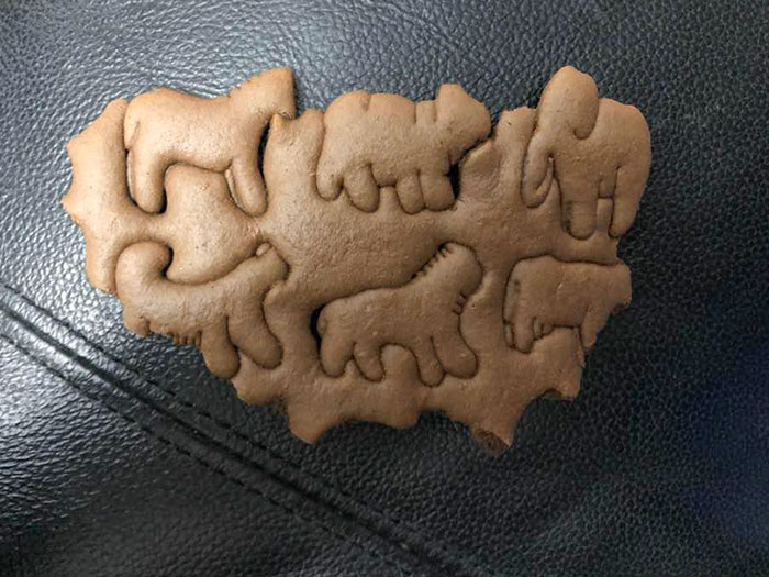 My Wife Hit The Animal Cracker Jackpot