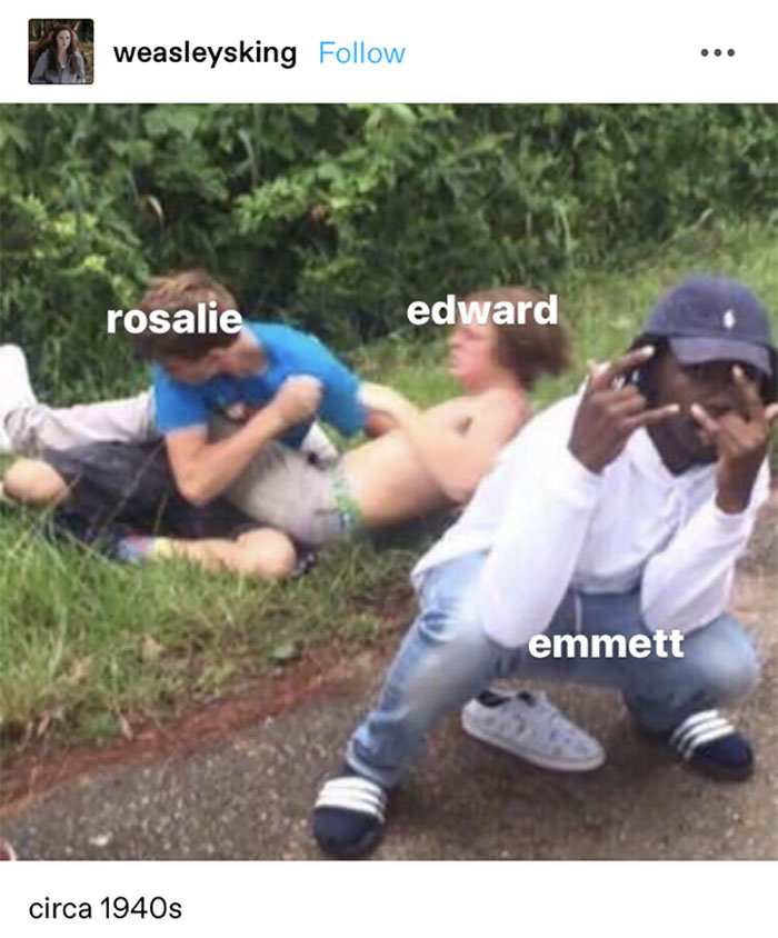 Funny-Twilight-Jokes-Memes