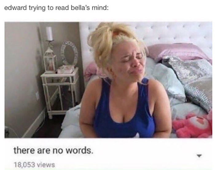 Funny-Twilight-Jokes-Memes