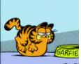 garfield-60f95b76178df.jpg