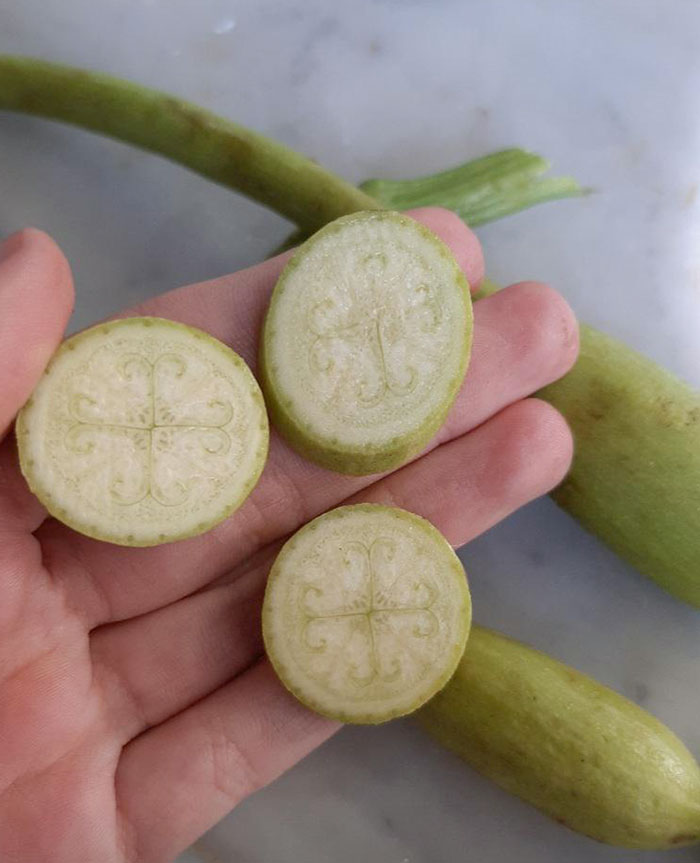 Beautiful Drawing Inside A Zucchini