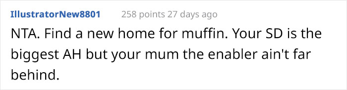 Teen Asks If She Was Wrong To Run Away With Her Cat After Her Stepdad Attempts To Secretly Euthanize It Teen Asks If She Was Wrong To Run Away With Her Cat After Her Stepdad Attempts To Secretly Euthanize It