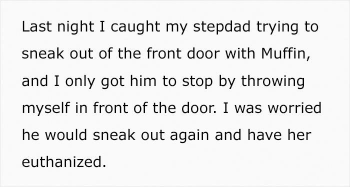 Teen Asks If She Was Wrong To Run Away With Her Cat After Her Stepdad Attempts To Secretly Euthanize It Teen Asks If She Was Wrong To Run Away With Her Cat After Her Stepdad Attempts To Secretly Euthanize It