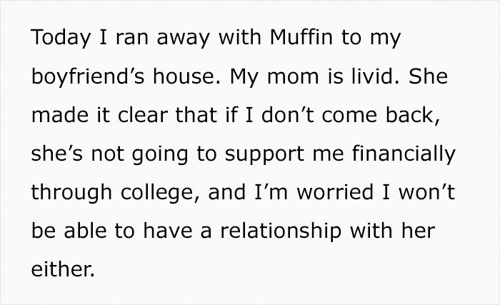Teen Asks If She Was Wrong To Run Away With Her Cat After Her Stepdad Attempts To Secretly Euthanize It Teen Asks If She Was Wrong To Run Away With Her Cat After Her Stepdad Attempts To Secretly Euthanize It
