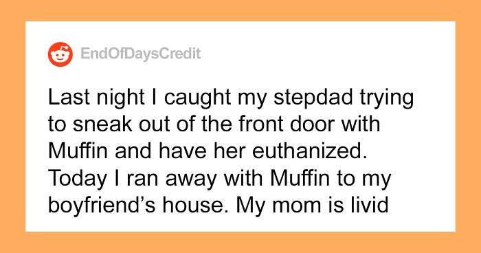 Teen Asks If She Was Wrong To Run Away With Her Cat After Her Stepdad Attempts To Secretly Euthanize It