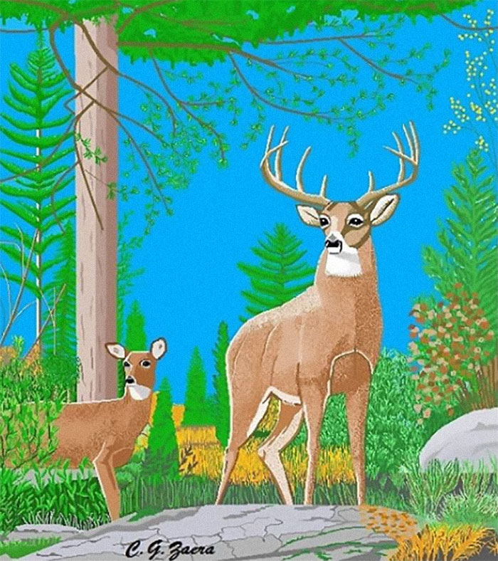 Grandmother-Amazing-Artwork-Microsoft-Paint-Concha-Garcia-Zaera