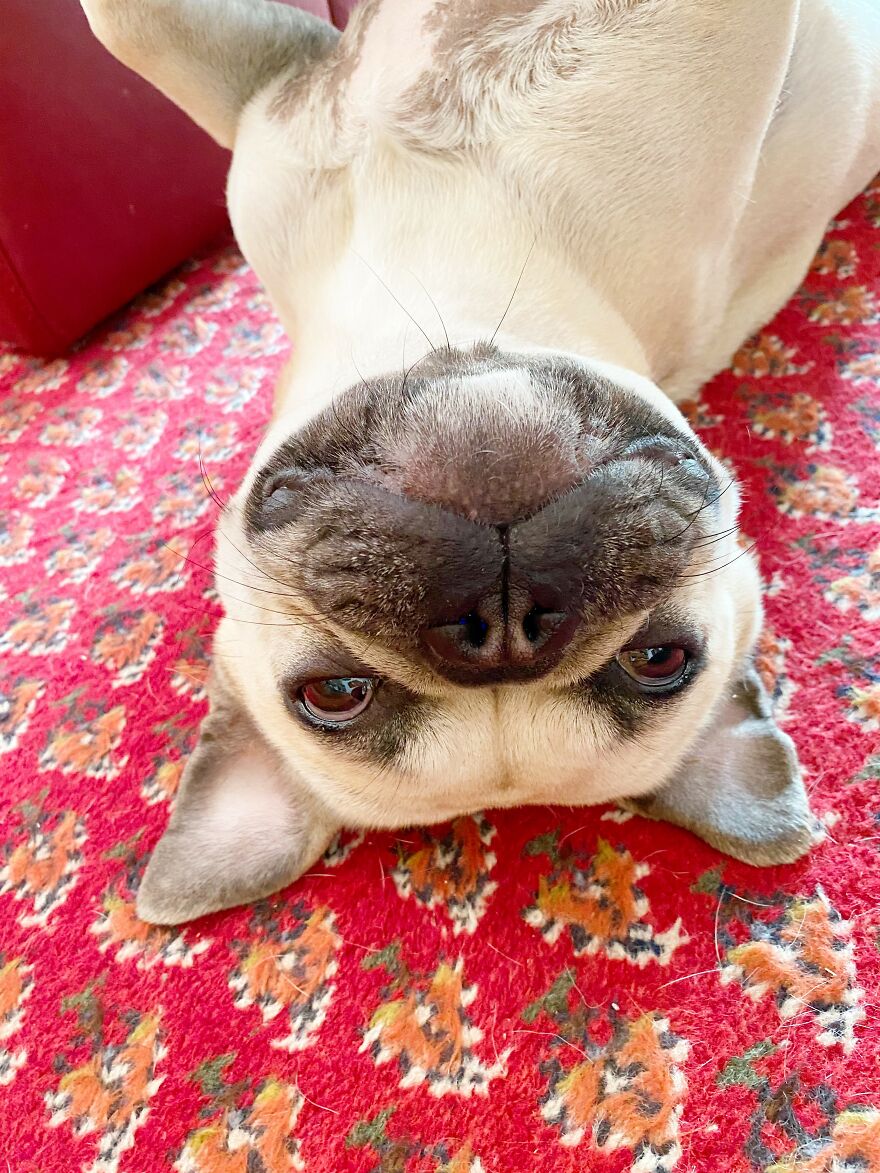 Spiky Beeing His Silly Self