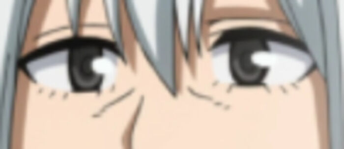 Hey Pandas, Guess The Todoroki By The Eyes