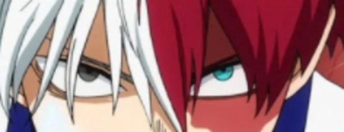 Hey Pandas, Guess The Todoroki By The Eyes