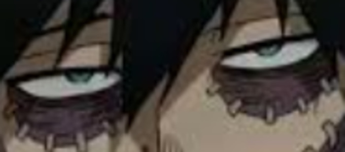 Hey Pandas, Guess The Todoroki By The Eyes