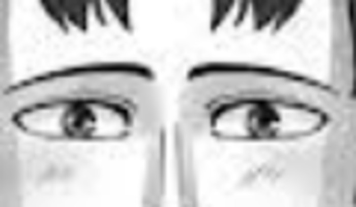 Hey Pandas, Guess The Todoroki By The Eyes